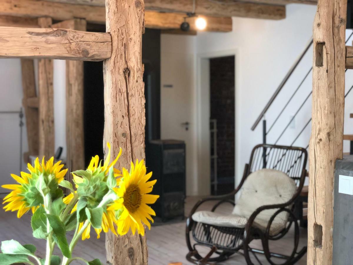 Ferienhaus Paradiso كيرشهايم أونتر تيك المظهر الخارجي الصورة